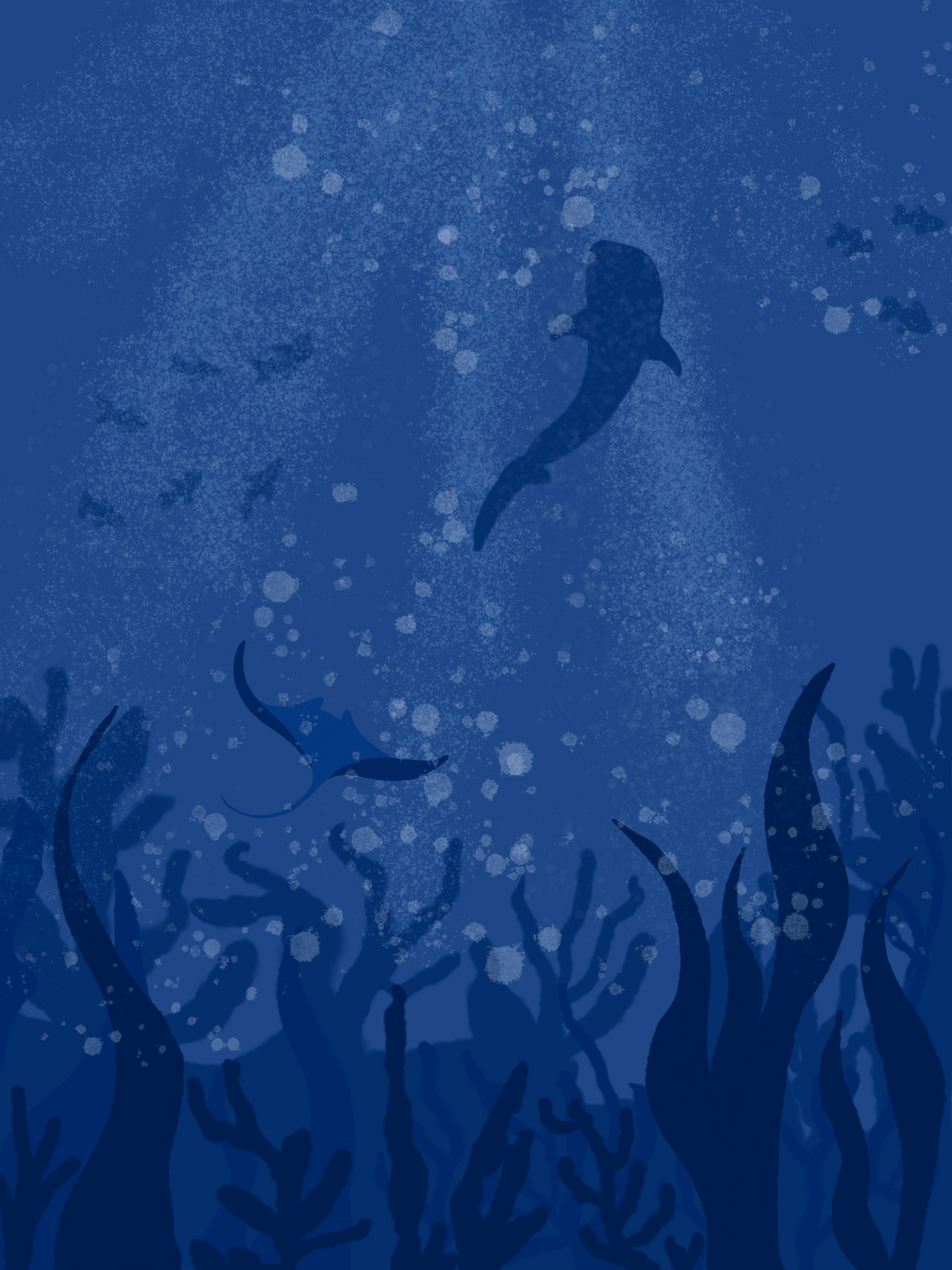 Deep Sea Dream Collection