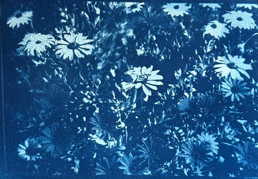 Butterfly Garden — Original Cyanotype Print