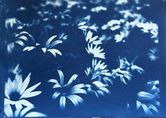 Garden Study — Original Cyanotype Print