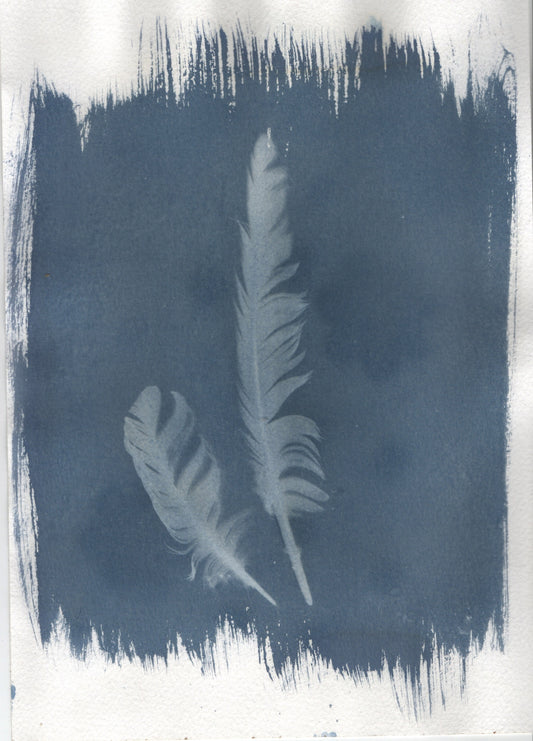 Erster & Pearl — Original Cyanotype Print